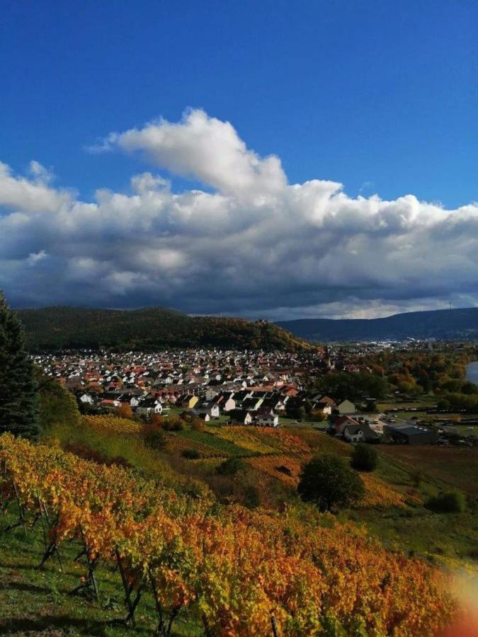 Ferienwohnung Familie Buchner Großheubach Zewnętrze zdjęcie