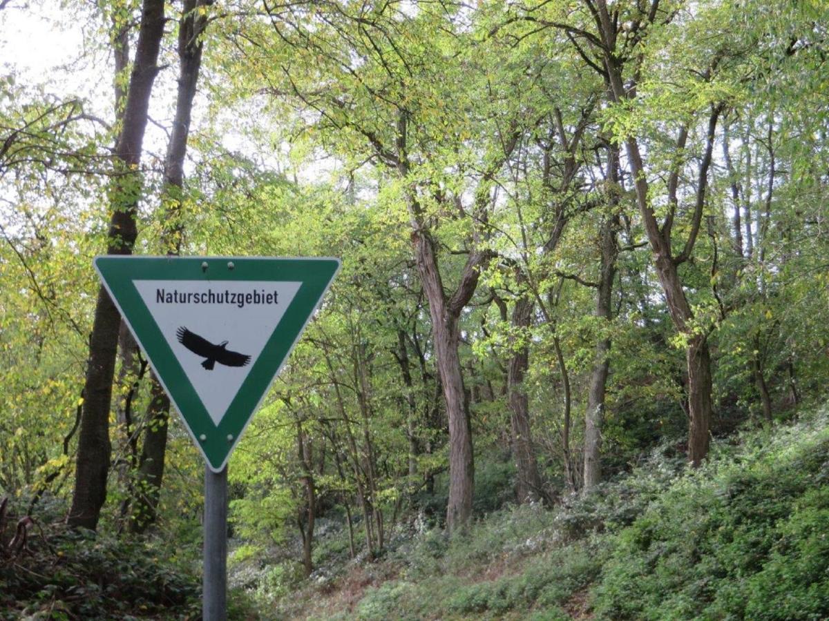 Ferienwohnung Familie Buchner Großheubach Zewnętrze zdjęcie