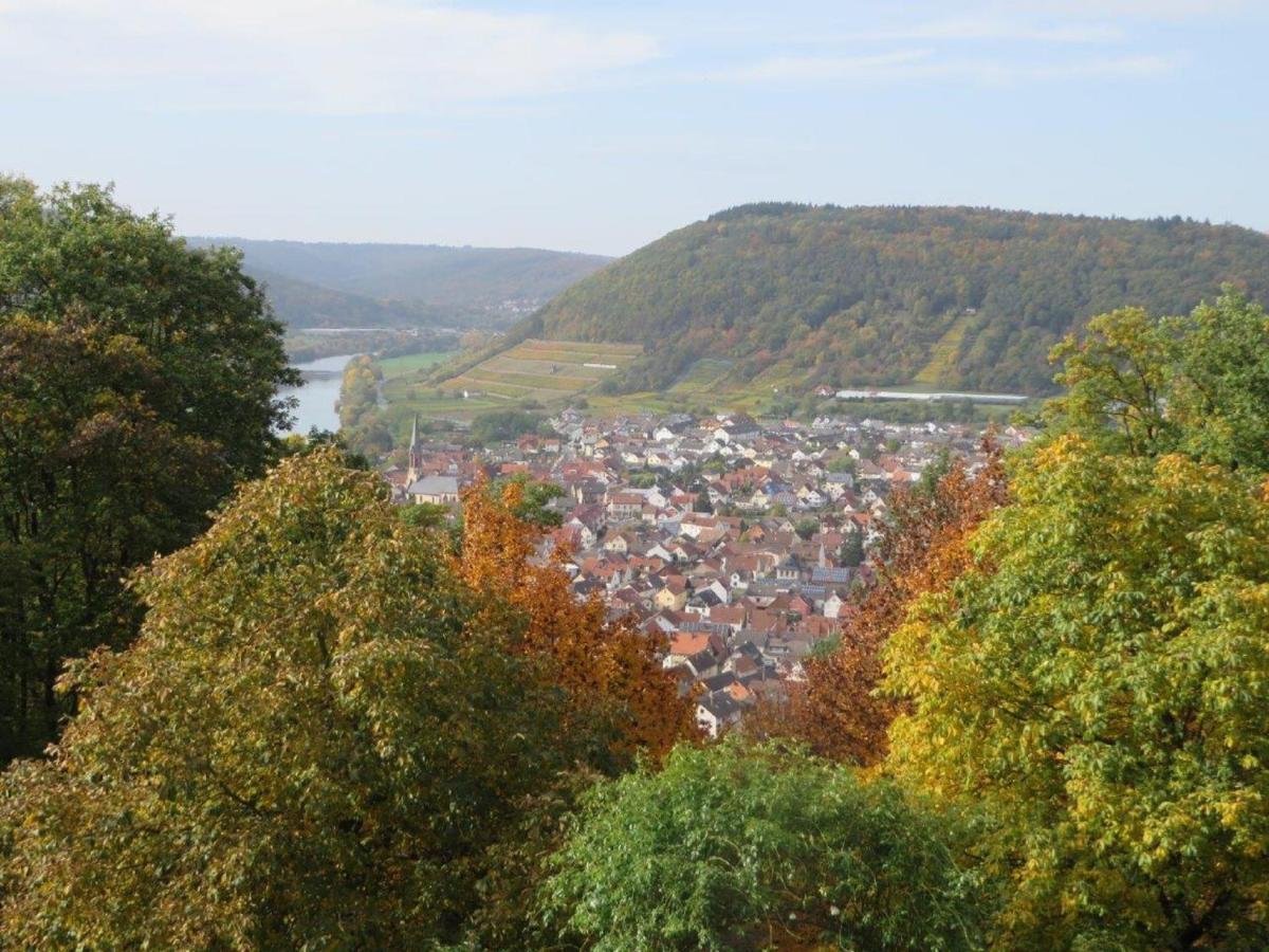 Ferienwohnung Familie Buchner Großheubach Zewnętrze zdjęcie